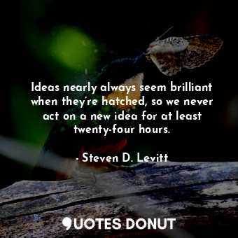  Ideas nearly always seem brilliant when they’re hatched, so we never act on a ne... - Steven D. Levitt - Quotes Donut