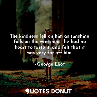 The kindness fell on him as sunshine falls on the wretched - he had no heart to taste it, and felt that it was very far off him.