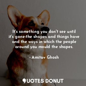  It's something you don't see until it's gone-the shapes and things have and the ... - Amitav Ghosh - Quotes Donut