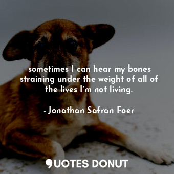  sometimes I can hear my bones straining under the weight of all of the lives I’m... - Jonathan Safran Foer - Quotes Donut