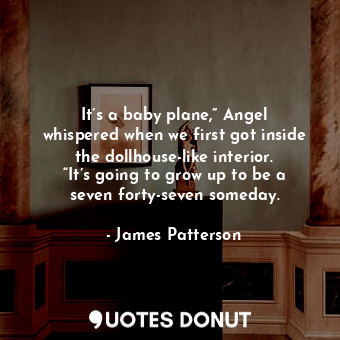  It’s a baby plane,” Angel whispered when we first got inside the dollhouse-like ... - James Patterson - Quotes Donut