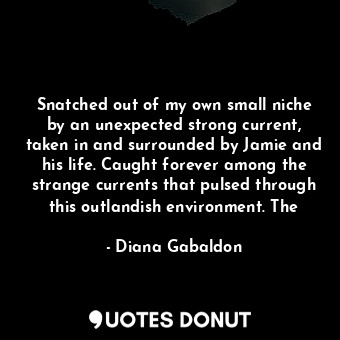  Snatched out of my own small niche by an unexpected strong current, taken in and... - Diana Gabaldon - Quotes Donut