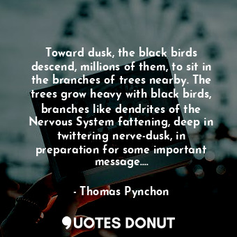 Toward dusk, the black birds descend, millions of them, to sit in the branches of trees nearby. The trees grow heavy with black birds, branches like dendrites of the Nervous System fattening, deep in twittering nerve-dusk, in preparation for some important message….
