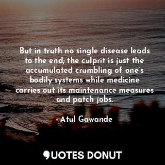 But in truth no single disease leads to the end; the culprit is just the accumulated crumbling of one’s bodily systems while medicine carries out its maintenance measures and patch jobs.