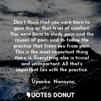 Don’t think that you were born to gain this or that level of comfort. You were born to study pain and the causes of pain, and to follow the practice that frees you from pain. This is the most important thing there is. Everything else is trivial and unimportant. All that’s important lies with the practice.