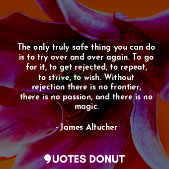 The only truly safe thing you can do is to try over and over again. To go for it, to get rejected, to repeat, to strive, to wish. Without rejection there is no frontier, there is no passion, and there is no magic.