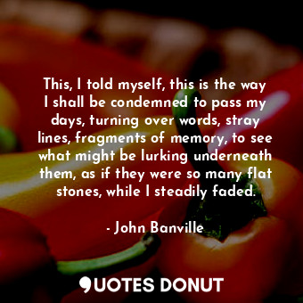 This, I told myself, this is the way I shall be condemned to pass my days, turning over words, stray lines, fragments of memory, to see what might be lurking underneath them, as if they were so many flat stones, while I steadily faded.