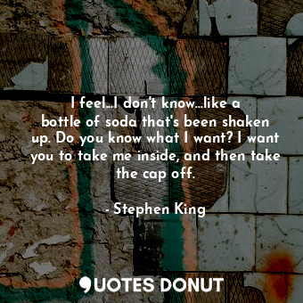  I feel...I don't know...like a bottle of soda that's been shaken up. Do you know... - Stephen King - Quotes Donut