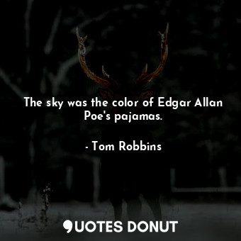 The sky was the color of Edgar Allan Poe&#39;s pajamas.
