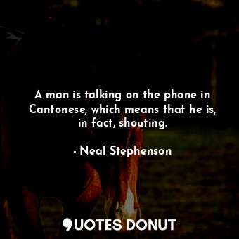 A man is talking on the phone in Cantonese, which means that he is, in fact, shouting.
