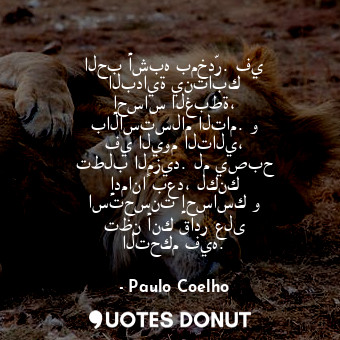 الحب أشبه بمخدّر. في البداية ينتابك إحساس الغبطة، بالاستسلام التام. و في اليوم ا... - Paulo Coelho - Quotes Donut