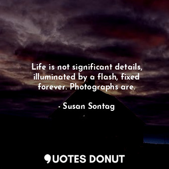  Life is not significant details, illuminated by a flash, fixed forever. Photogra... - Susan Sontag - Quotes Donut