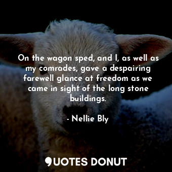  On the wagon sped, and I, as well as my comrades, gave a despairing farewell gla... - Nellie Bly - Quotes Donut