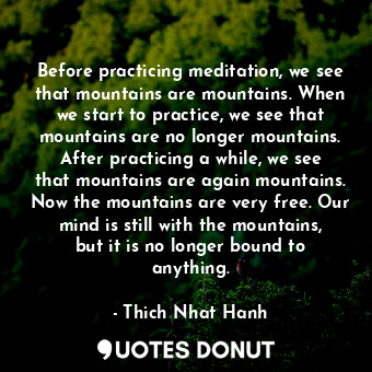 Before practicing meditation, we see that mountains are mountains. When we start to practice, we see that mountains are no longer mountains. After practicing a while, we see that mountains are again mountains. Now the mountains are very free. Our mind is still with the mountains, but it is no longer bound to anything.