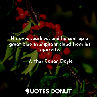 His eyes sparkled, and he sent up a great blue triumphant cloud from his cigarette.