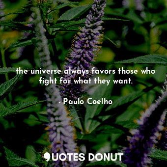 the universe always favors those who fight for what they want.
