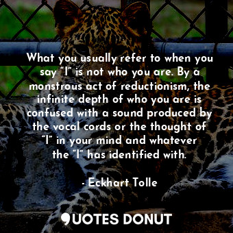  What you usually refer to when you say “I” is not who you are. By a monstrous ac... - Eckhart Tolle - Quotes Donut