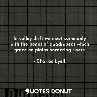 In valley drift we meet commonly with the bones of quadrupeds which graze on plains bordering rivers.