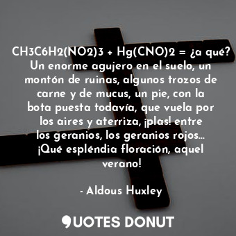 CH3C6H2(NO2)3 + Hg(CNO)2 = ¿a qué? Un enorme agujero en el suelo, un montón de ruinas, algunos trozos de carne y de mucus, un pie, con la bota puesta todavía, que vuela por los aires y aterriza, ¡plas! entre los geranios, los geranios rojos... ¡Qué espléndia floración, aquel verano!