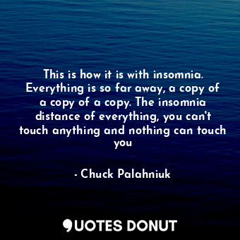 This is how it is with insomnia. Everything is so far away, a copy of a copy of a copy. The insomnia distance of everything, you can't touch anything and nothing can touch you