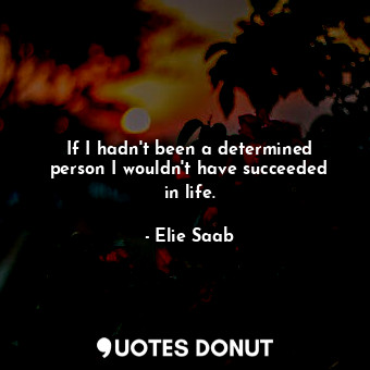  If I hadn&#39;t been a determined person I wouldn&#39;t have succeeded in life.... - Elie Saab - Quotes Donut