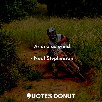  Arjuna asteroid.... - Neal Stephenson - Quotes Donut