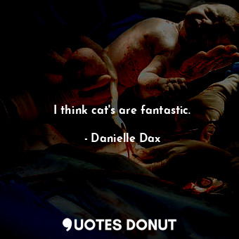  I think cat&#39;s are fantastic.... - Danielle Dax - Quotes Donut