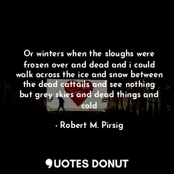 Or winters when the sloughs were frozen over and dead and i could walk across the ice and snow between the dead cattails and see nothing but grey skies and dead things and cold