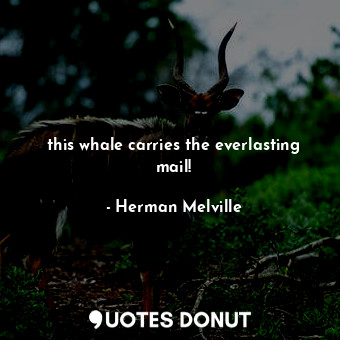  this whale carries the everlasting mail!... - Herman Melville - Quotes Donut