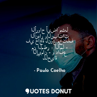  الأرواح أيضاً مثل الأنهار والنباتات في حاجة لنوع مختلف من المطر : الأمل - الإيما... - Paulo Coelho - Quotes Donut