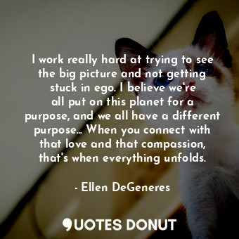 I work really hard at trying to see the big picture and not getting stuck in ego. I believe we&#39;re all put on this planet for a purpose, and we all have a different purpose... When you connect with that love and that compassion, that&#39;s when everything unfolds.