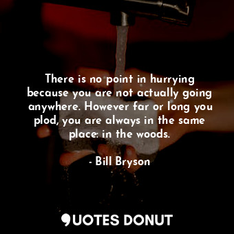  There is no point in hurrying because you are not actually going anywhere. Howev... - Bill Bryson - Quotes Donut