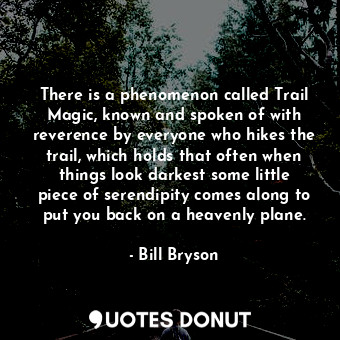 There is a phenomenon called Trail Magic, known and spoken of with reverence by everyone who hikes the trail, which holds that often when things look darkest some little piece of serendipity comes along to put you back on a heavenly plane.