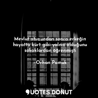  Mevlut otuzundan sonra erkeğin hayatta kurt gibi yalnız olduğunu sokaklardan öğr... - Orhan Pamuk - Quotes Donut
