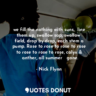  we fill the nothing with suns,  line them up, swallow sap, swallow  field, drop ... - Nick Flynn - Quotes Donut