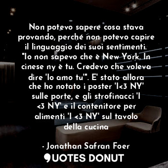 Non potevo sapere cosa stava provando, perché non potevo capire il linguaggio dei suoi sentimenti. "Io non sapevo che è New York. In cinese ny è tu. Credevo che voleva dire 'Io amo tu'". E' stato allora che ho notato i poster 'I&lt;3 NY' sulle porte, e gli strofinacci 'I &lt;3 NY' e il contenitore per alimenti 'I &lt;3 NY' sul tavolo della cucina