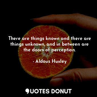 There are things known and there are things unknown, and in between are the doors of perception.