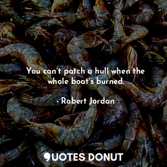  You can’t patch a hull when the whole boat’s burned.... - Robert Jordan - Quotes Donut