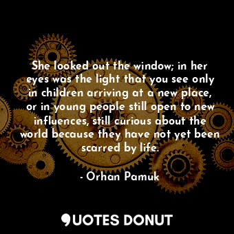 She looked out the window; in her eyes was the light that you see only in children arriving at a new place, or in young people still open to new influences, still curious about the world because they have not yet been scarred by life.