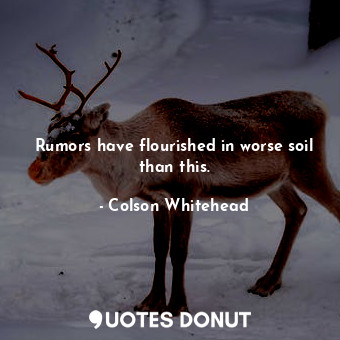  Rumors have flourished in worse soil than this.... - Colson Whitehead - Quotes Donut
