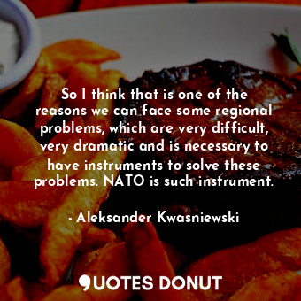  So I think that is one of the reasons we can face some regional problems, which ... - Aleksander Kwasniewski - Quotes Donut