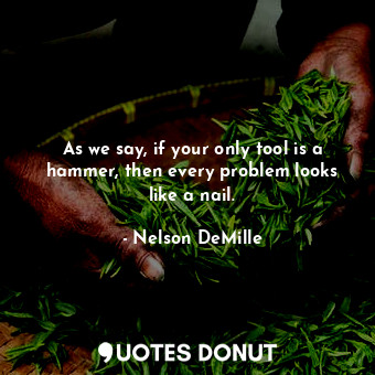  As we say, if your only tool is a hammer, then every problem looks like a nail.... - Nelson DeMille - Quotes Donut