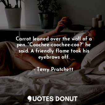  Carrot leaned over the wall of a pen. “Coochee-coochee-coo?” he said. A friendly... - Terry Pratchett - Quotes Donut