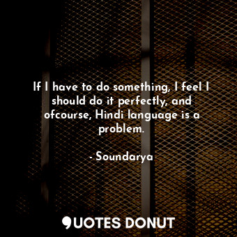  If I have to do something, I feel I should do it perfectly, and ofcourse, Hindi ... - Soundarya - Quotes Donut