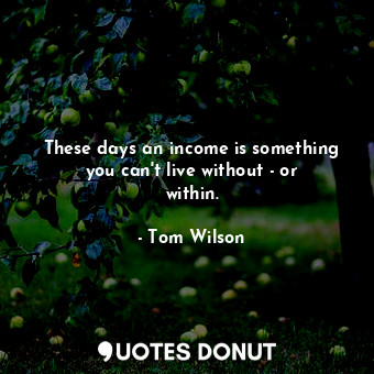  These days an income is something you can&#39;t live without - or within.... - Tom Wilson - Quotes Donut