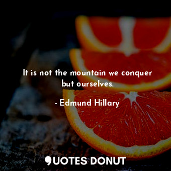  It is not the mountain we conquer but ourselves.... - Edmund Hillary - Quotes Donut
