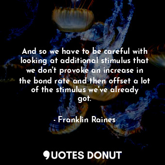  And so we have to be careful with looking at additional stimulus that we don&#39... - Franklin Raines - Quotes Donut