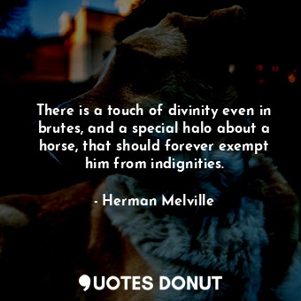  There is a touch of divinity even in brutes, and a special halo about a horse, t... - Herman Melville - Quotes Donut