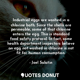 Industrial eggs are washed in a chlorine bath. Since the shells are permeable, some of that chlorine enters the egg. This is standard food safety protocol. In fact, some health department inspectors believe an egg not washed in chlorine is not fit for human consumption.