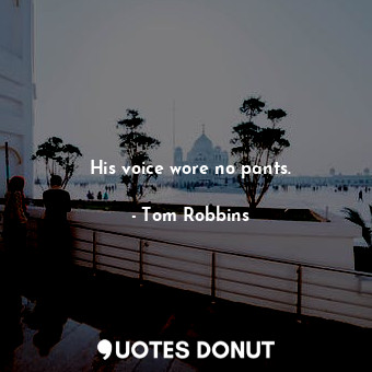  His voice wore no pants.... - Tom Robbins - Quotes Donut